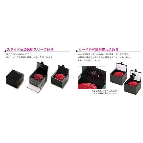 {VR_Ch_Ch[Y{bNX uCgbh-DIAMOND ROSE BOX Bright Red-3