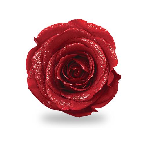 {VR_Ch_Ch[Y{bNX uCgbh-DIAMOND ROSE BOX Bright Red-4