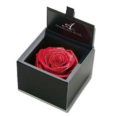 {VR_Ch_Ch[Y{bNX uCgbh-DIAMOND ROSE BOX Bright Red-