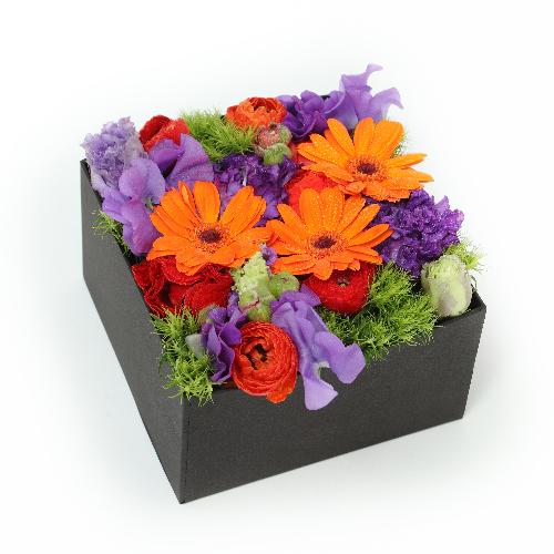 Box flower vivid glow2