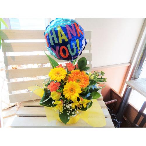 ����ٰ���ܰTHANK YOU���ް��ד��艩�F���܂�������