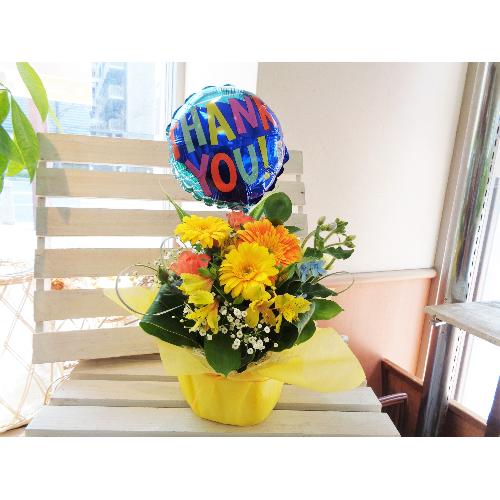 ����ٰ���ܰTHANK YOU���ް��ד��艩�F���܂�������2