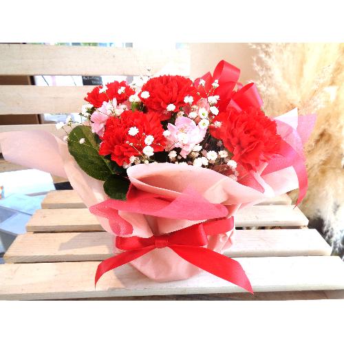 ����̓��ܲ��I�U�E��Ȱ��݃A�����W����ȁ{��Г���