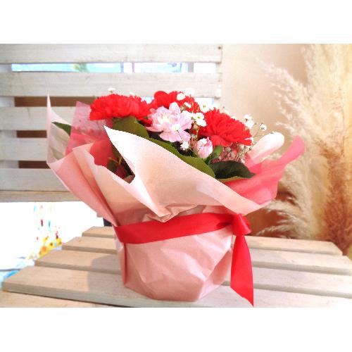 ����̓��ܲ��I�U�E��Ȱ��݃A�����W����ȁ{��Г���3