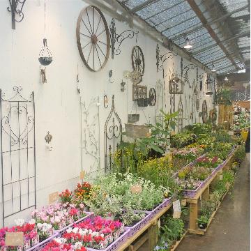 埼玉県川越市の花屋 有 モリタ をご紹介 フラワーギフトはプロのお花屋さんにおまかせ フジテレビフラワーネット