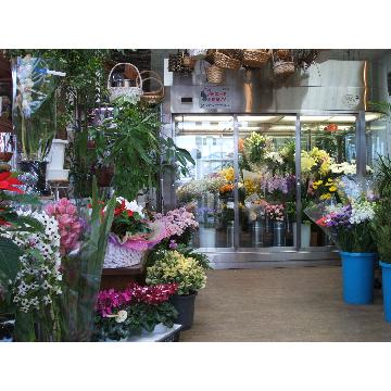 青森県八戸市の花屋 フラワーショップ花まつり をご紹介 フラワーギフトはプロのお花屋さんにおまかせ フジテレビフラワーネット