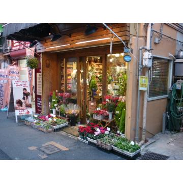 大阪府豊中市の花屋 フラワーショップ水彩えのぐ をご紹介 フラワーギフトはプロのお花屋さんにおまかせ フジテレビフラワーネット