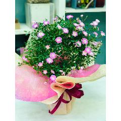 �������㥹�ʥ������Х顡�ԥ�