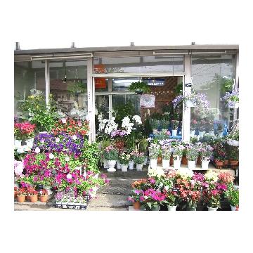 埼玉県川越市の花屋 有 ぽぷり をご紹介 フラワーギフトはプロのお花屋さんにおまかせ フジテレビフラワーネット