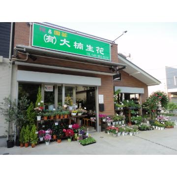 神奈川県横須賀市の花屋 有 大楠生花 をご紹介 フラワーギフトはプロのお花屋さんにおまかせ フジテレビフラワーネット