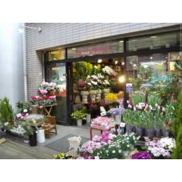 東京都文京区の花屋 有 落合生花店 をご紹介 フラワーギフトはプロのお花屋さんにおまかせ フジテレビフラワーネット