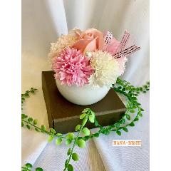 ץեեݥåȡԥ