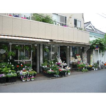 神奈川県横浜市 鶴見区の花屋 かどや生花店 をご紹介 フラワーギフトはプロのお花屋さんにおまかせ フジテレビフラワーネット