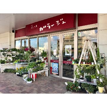 福岡県大川市の花屋 有 花工房ガラージュ 大川店 をご紹介 フラワーギフトはプロのお花屋さんにおまかせ フジテレビフラワーネット