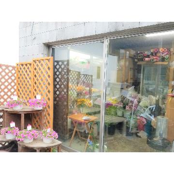 神奈川県横浜市 港南区の花屋 有 山野井生花店 をご紹介 フラワーギフトはプロのお花屋さんにおまかせ フジテレビフラワーネット