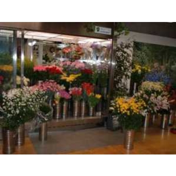 北海道旭川市の花屋 フラワーショップ レイ をご紹介 フラワーギフトはプロのお花屋さんにおまかせ フジテレビフラワーネット