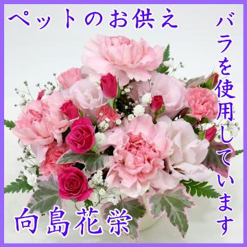 ＜フジテレビフラワーネット＞ 白い菊とピンクのお花のお供え花束