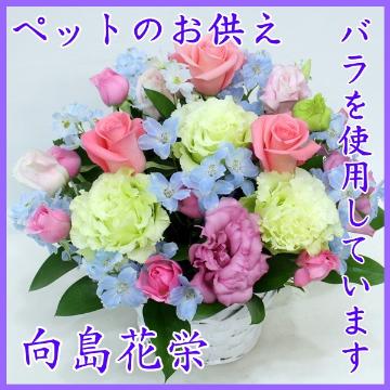 ＜フジテレビフラワーネット＞ 白いユリと菊、ピンクのお花のお供え花束