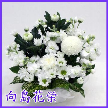 ＜フジテレビフラワーネット＞ 【【お悔やみ・お供え】白菊とストックのカルテットホワイト画像