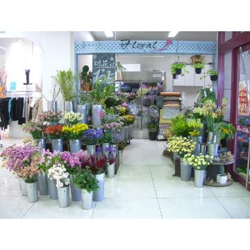 福島県福島市の花屋 有 フラワーショップフローラル をご紹介 フラワーギフトはプロのお花屋さんにおまかせ フジテレビフラワーネット