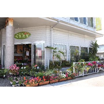 宮崎県日南市の花屋 有 松本花屋 をご紹介 フラワーギフトはプロのお花屋さんにおまかせ フジテレビフラワーネット 宮崎県日南市の花屋 有 松本花屋 をご紹介 フラワーギフトはプロのお花屋さんにおまかせ フジテレビフラワーネット