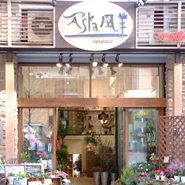 大阪府大阪市 中央区の花屋 あすか風 本町店 をご紹介 フラワーギフトはプロのお花屋さんにおまかせ フジテレビフラワーネット