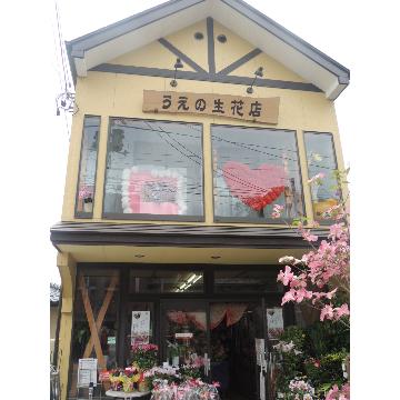 福島県二本松市の花屋 うえの生花店 をご紹介 フラワーギフトはプロのお花屋さんにおまかせ フジテレビフラワーネット