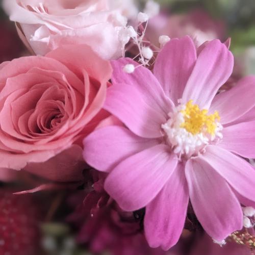 �v���U�[�u�h�t�����[�y�Ԋ�z3