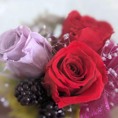 �v���U�[�u�h�t�����[�y�Ԋ�z3