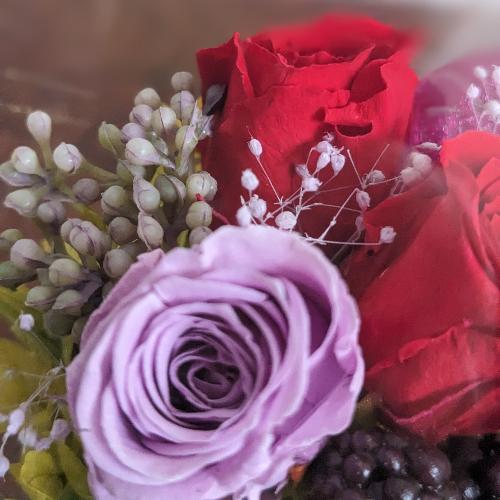 �v���U�[�u�h�t�����[�y�Ԋ�z4