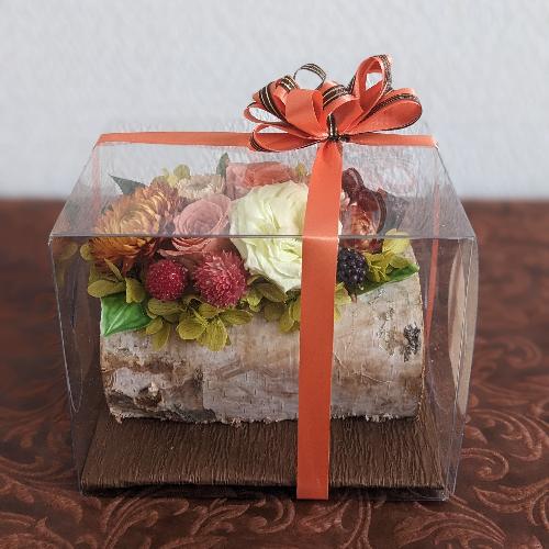 �v���U�[�u�h�t�����[�y�E�b�h�P�[�X�z2