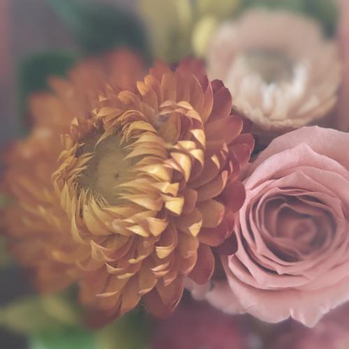 �v���U�[�u�h�t�����[�y�E�b�h�P�[�X�z3