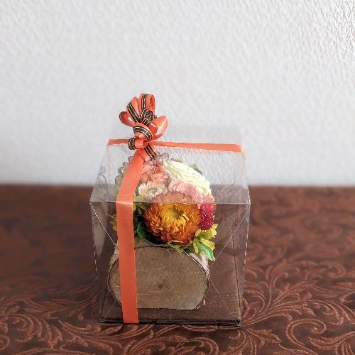 �v���U�[�u�h�t�����[�y�E�b�h�P�[�X�z5