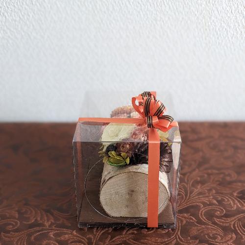 �v���U�[�u�h�t�����[�y�E�b�h�P�[�X�z6