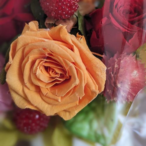 �v���U�[�u�h�t�����[�y�Ԋ�z3