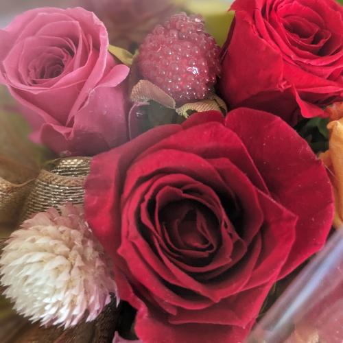 �v���U�[�u�h�t�����[�y�Ԋ�z4