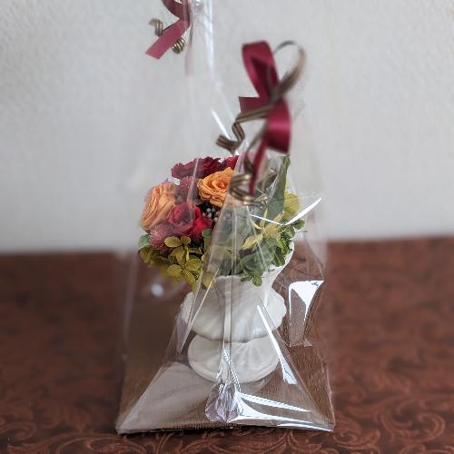 �v���U�[�u�h�t�����[�y�Ԋ�z6