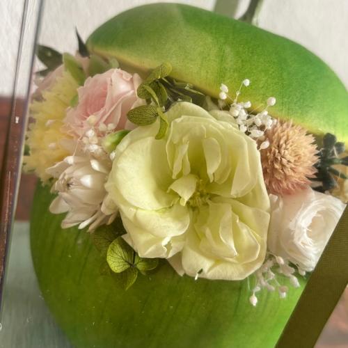 �v���U�[�u�h�t�����[�y�����S�z3