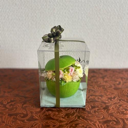 �v���U�[�u�h�t�����[�y�����S�z5