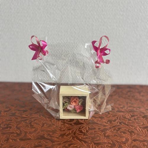 �v���U�[�u�h�t�����[�y�t���[���z