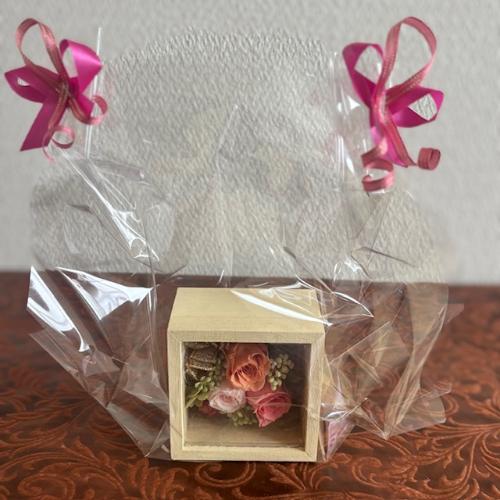 �v���U�[�u�h�t�����[�y�t���[���z2