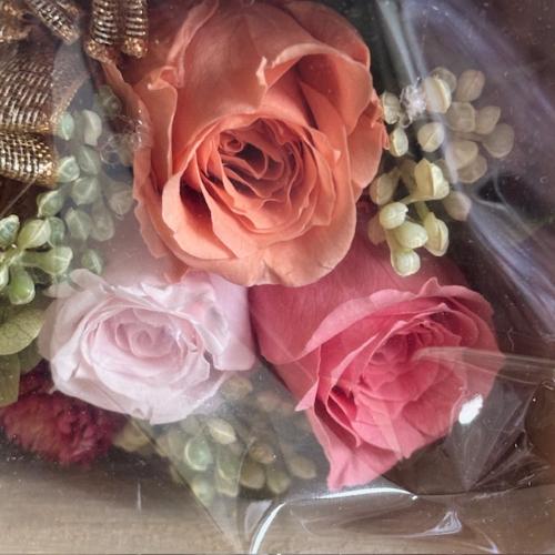 �v���U�[�u�h�t�����[�y�t���[���z3