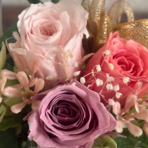 �v���U�[�u�h�t�����[�y���C���[���n�ԁz3