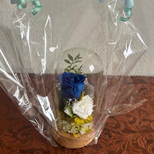 �v���U�[�u�h�t�����[�y�K���X�h�[���z2