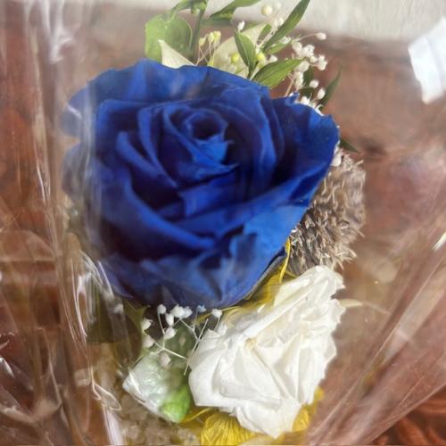 �v���U�[�u�h�t�����[�y�K���X�h�[���z3