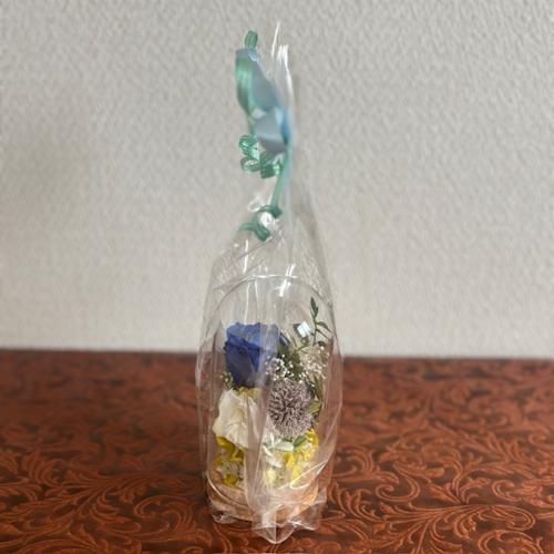 �v���U�[�u�h�t�����[�y�K���X�h�[���z5