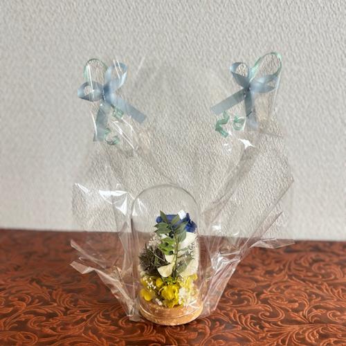 �v���U�[�u�h�t�����[�y�K���X�h�[���z6