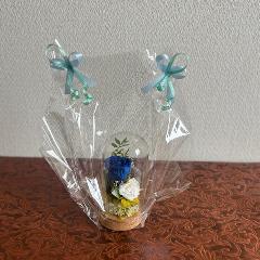 �v���U�[�u�h�t�����[�y�K���X�h�[���z