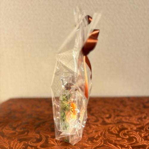 �v���U�[�u�h�t�����[�y�����r�z5