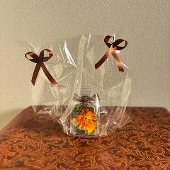 �v���U�[�u�h�t�����[�y�����r�z